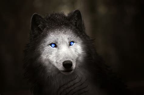 Subscribe to our weekly wallpaper newsletter and receive the week's top 10 most downloaded wallpapers. Fantastic white wolf with blue eyes wallpapers and images ...