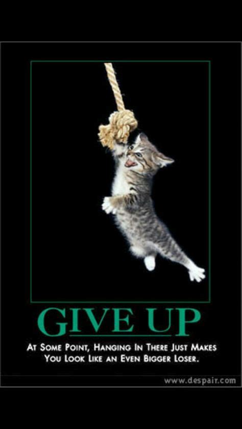 Who Says Never Give Up Is The Best Advice Inspirational Cats Cat