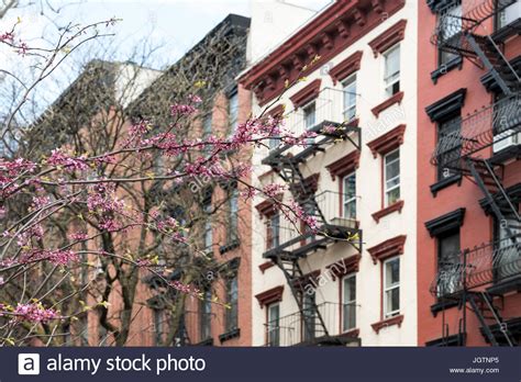 New York City Spring Street Scene With Colorful Blooming Tree And