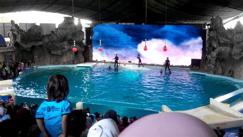 √info Lengkap Seaworld Harga Tiket 2023 Wahana Alamat Aquarium