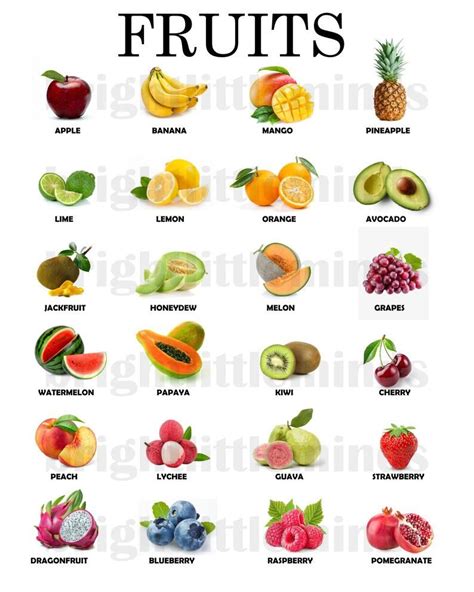 Buy Instant Download Printable Fruits Educational Poster Online In