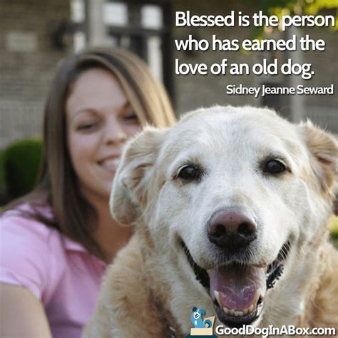42 Heartwarming Old Dogs Quotes