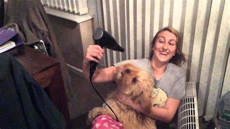 hairdryer youtube