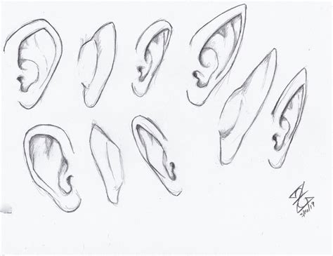Anime Ear Reference Anime And Manga Ears Vary In Styles From More