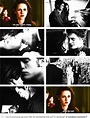 Un amor para la eternidad... | Twilight film, Twilight saga quotes ...