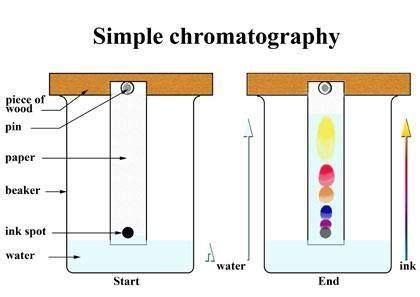 chromatographie simple définition chromatographie Crpodt