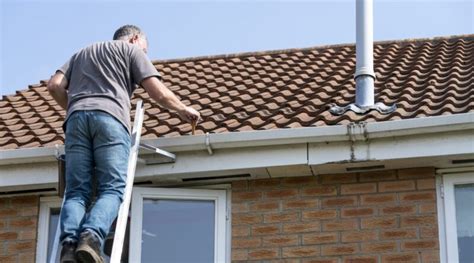 Roof Maintenance Tips For Homeowners Live Enhanced