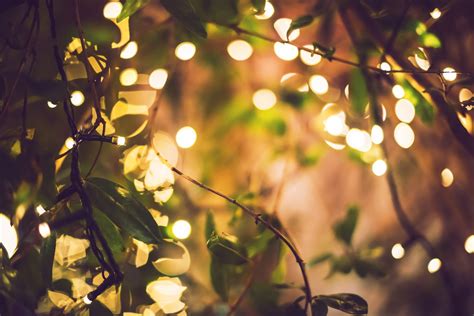 10 Creative Uses For Twinkle Lights In Your Home Annmarie John Llc
