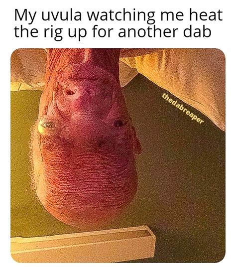 Another Dab R See