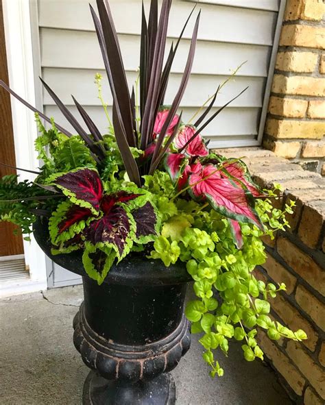 A Planter Filled With Lots Of Green And Red Flowers Sitting On Top Of A