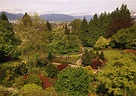 Queen Elizabeth Park Vancouver Guide