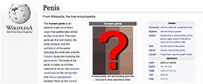 Whose Dick Is That on the Wikipedia ‘Penis’ Page?