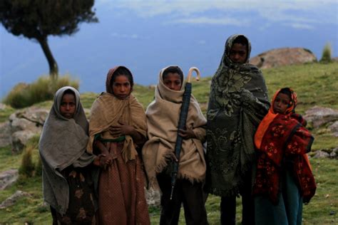 10 Facts About Child Labor In Ethiopia The Borgen Project