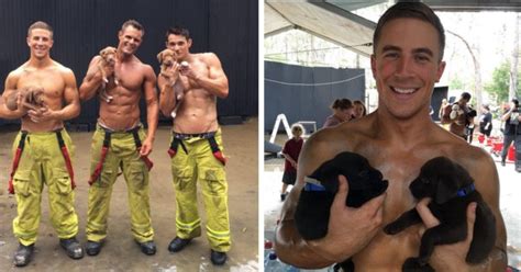 Nothing To See Here Just Hot Firemen Holding Tiny Puppies For Charity Pulptastic