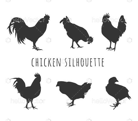 chicken silhouette set download graphics and vectors