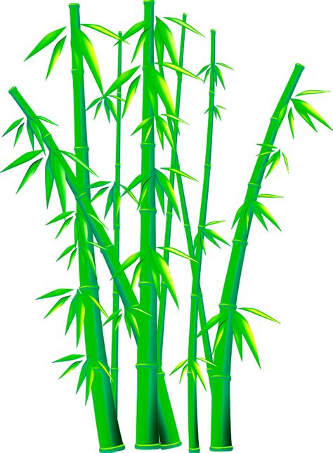 Bamboo Euclidean vector Clip art - bamboo png download - 658*894 - Free Transparent Bamboo png ...