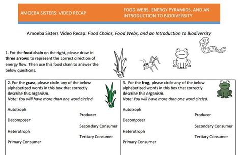 Genetic drift can cause a. 1000+ images about Amoeba Sisters Handouts on Pinterest ...
