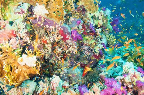 Download coral reef stock photos. Colorful Coral Reef Digital Art by Roy Pedersen