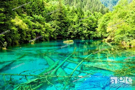 Five Flower Lake Wuhuahai Jiuzhaigou Sichuan China Stock Photo