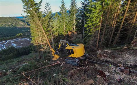LX830 Feller Buncher Advances To E Series Forestry In South Africa