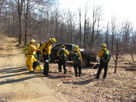 North Carolina Forest Service