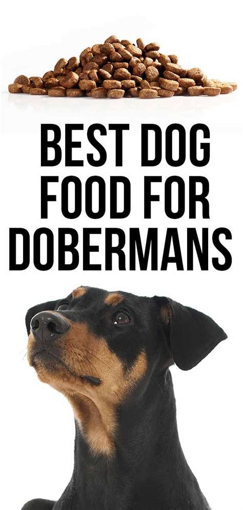 Detailed segmentation of international and local products. Best Dog Food For Dobermans - Great Choices for Active ...