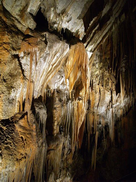 Postojna Cave Slovenija Postojna Painting Cave