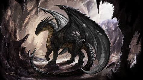 Black Dragon Art Wallpapers Bigbeamng