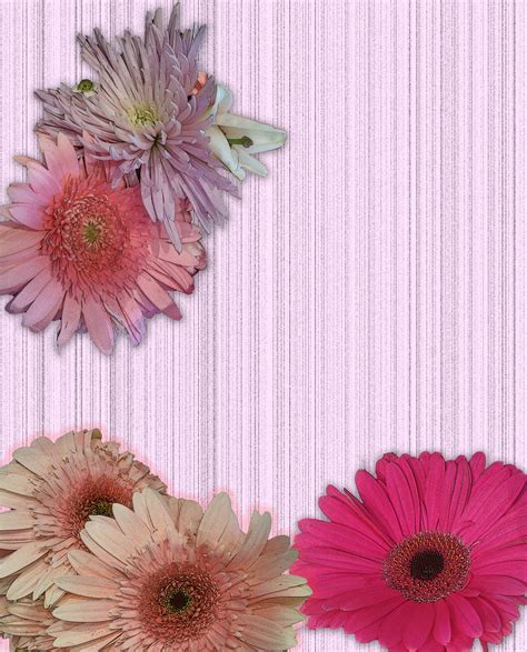 Flower Card Add Your Text Free Stock Photo Public Domain Pictures