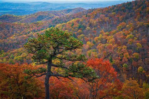 Shenandoah National Park Fall Foliage Stock Image Image Of Pano