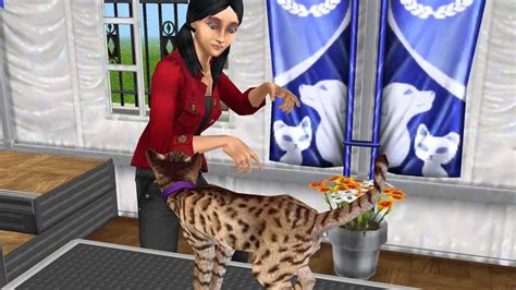 The Sims Freeplay Pet Paradise Update Trailer Youtube