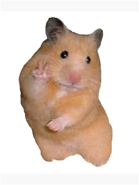 Peace Sign Hamster Poster For Sale By Kate Designs Redbubble