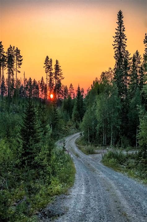 Forest Road At Sunset Finland By Asko Kuittinen Cr 🇫🇮 Scenic