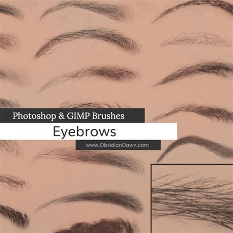 Eyebrows Photoshop And Gimp Brushes By Redheadstock On Deviantart