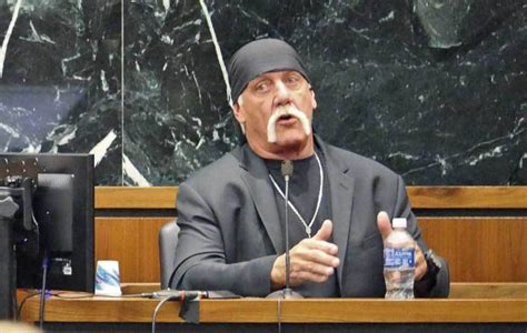 Indemnizan A Hulk Hogan Con 100 Millones Por Publicar Un Vídeo Suyo De Contenido Sexual