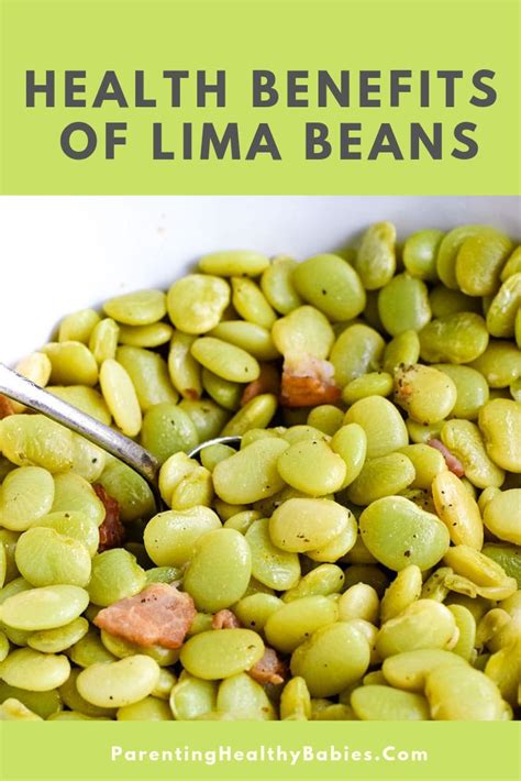 Lima Bean Nutrition Facts Effective Health