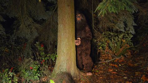 Bigfoot What You Need To Know When Hunting For Sasquatch