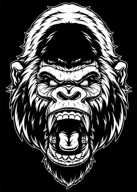 Screaming Gorilla Stock Photos Pictures And Royalty Free Images Istock