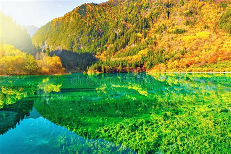 View Of Five Flower Lake At Autumn Sunrise Time Stock Photo Image Of