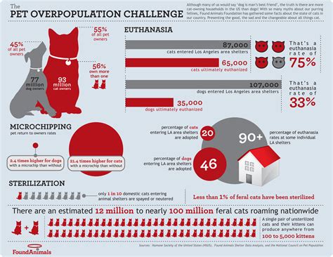 The Pet Overpopulation Challenge Infographics By