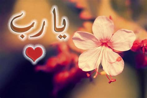 يتيح ميزة status وهى تمكن الاصدقاء من تنزيل منشورات. صور خلفيات فيس بوك , لقطات اسلامية متميزة و متنوعة - نايس