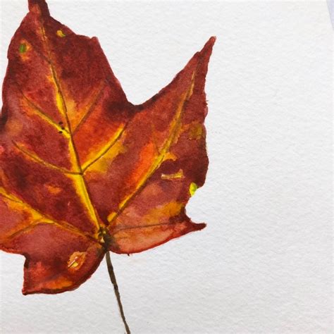 Warm Colors Of Fall Maple Leaf Original Watercolor Painting 6 X 8