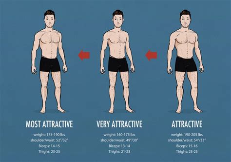 A Man S Body Measurements Are Shown In Three Different Ways Including