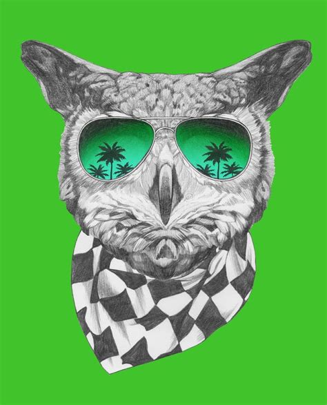 Portrait Of Owl With Sunglasses And Scarf Hand Drawn Illustration