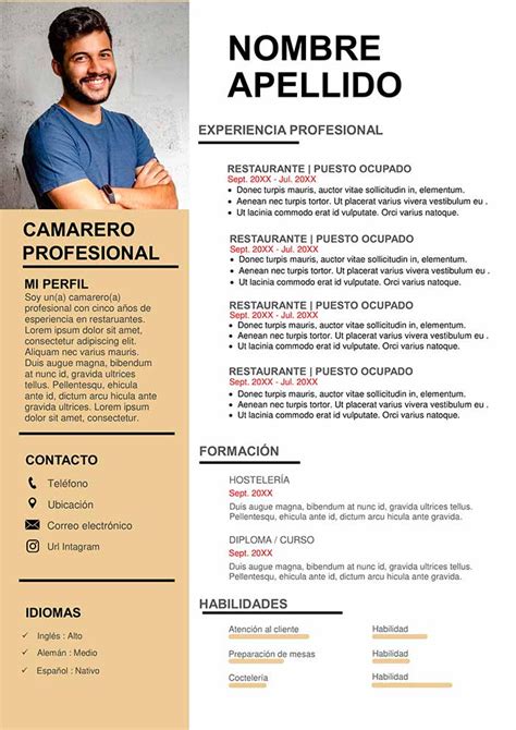 Perfil En El Curriculum Vitae Ejemplos Nuevo Ejemplo Riset