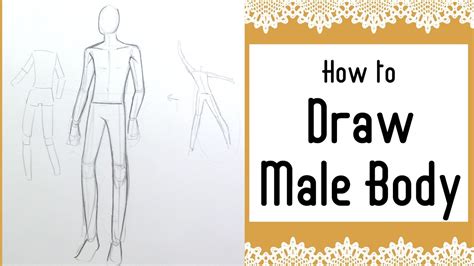 Free human anatomy images and pictures this resource is aimed at helping anyone within the medical community with illustrations for articles, blogs, assignments, and posters. |How to draw MALE anatomy!| - YouTube