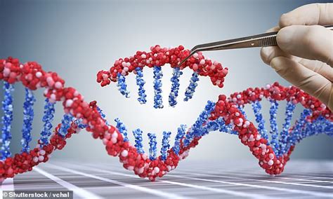 Israeli Scientists Kill Cancer Cells With Ground Breaking Dna Altering