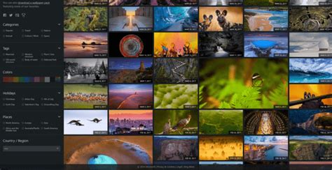 Bing Is Now Sharing Backstory Of Its Home Page Photo And Gallery Of Past