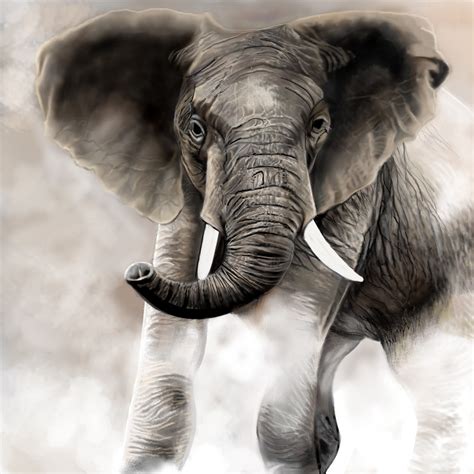 All symbols in one place. Elephant ← an animals Speedpaint drawing by Betty - Queeky - draw & paint