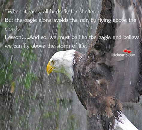 Eagles are strong, powerful birds that can rise above the storms and see well into the distance thus having very good vision. Be Like An Eagle And Believe That You Can Fly Above The Storm.